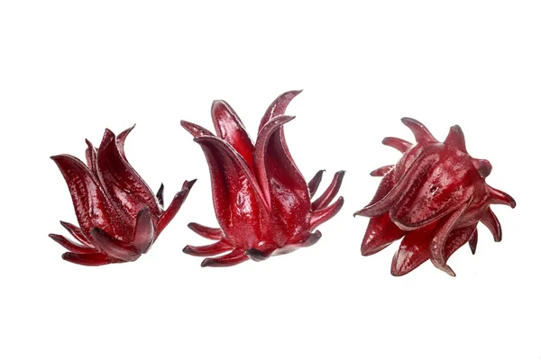 Roselle frutas no fundo branco — Fotografia de Stock