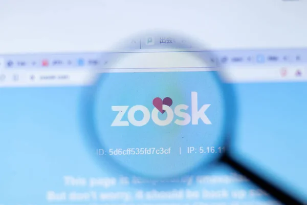 New York Usa Вересня 2020 Zoosk Company Website Logo Close — стокове фото