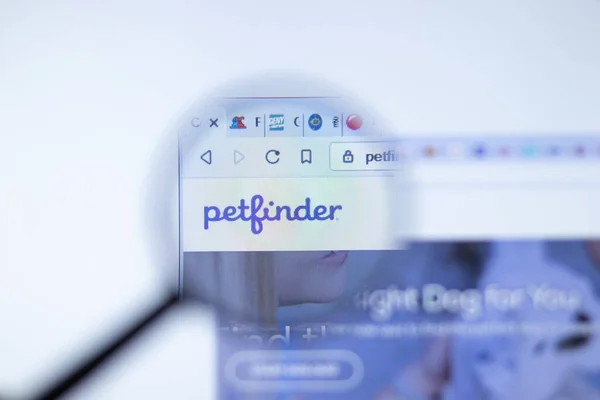 Nova York Eua Setembro 2020 Petfinder Petfinder Com Site Empresa — Fotografia de Stock