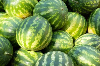 Bir sürü taze yaz karpuzu. Bir tatil köyünde sokak ticareti. Bahçedeki doğal tarım ürünleri..