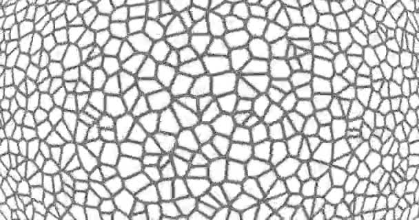 Siyah ve beyaz animasyon döngüsü arka planı. Mozaik hücre deseni. Geometri tasarımı. Soyut yerleşim hareketi — Stok video