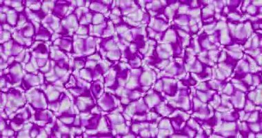 Mor kabarcıklar soyut arka plan, animasyon döngüsü. Hareket görüntüleri