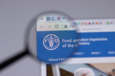 New York, ABD - 18 Mart 2021: FAO Gıda ve Tarım Örgütü logosu web sitesinde, Illustrative Editorial