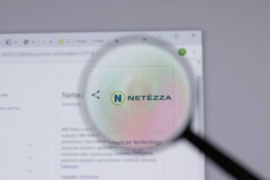 New York, ABD - 26 Nisan 2021: Netezza logosu web sitesi sayfasında yakın plan, Illustrative Editorial