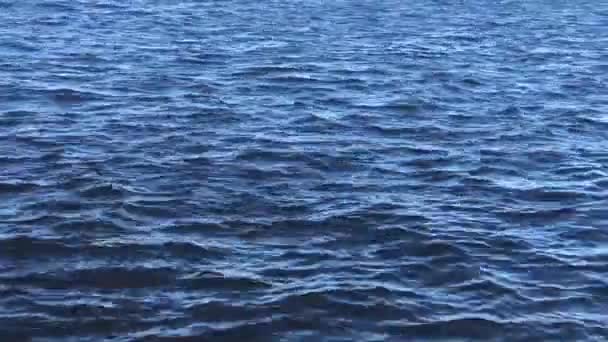 Superfície de ondas de água azul, fundo com espaço de cópia, tempo ventoso — Vídeo de Stock