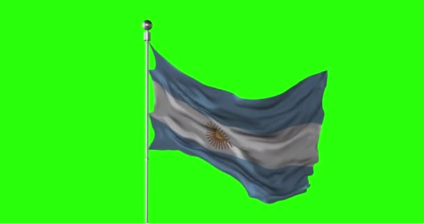 Bandera Nacional Argentina Ondeando Pantalla Verde Animación Con Clave Cromática — Vídeo de stock