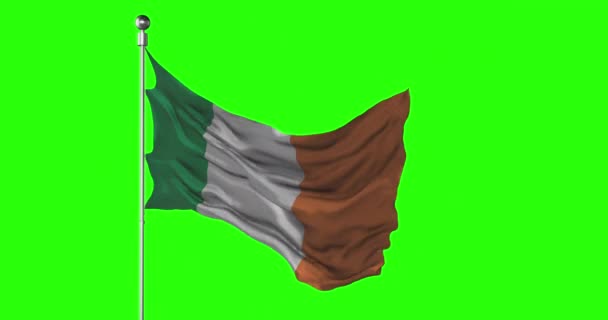 Irlands Nationella Flagga Vinkar Grön Skärm Chroma Nyckel Animation Irländsk — Stockvideo