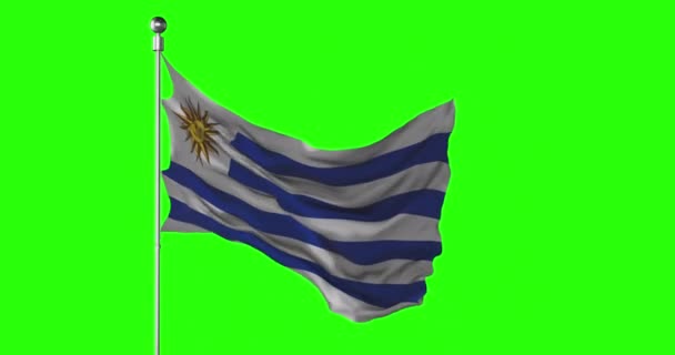 Uruguay Nationella Flagga Viftar Grön Skärm Chroma Nyckel Animation Uruguayansk — Stockvideo