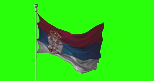 Serbiens Nationalflagge Weht Auf Der Grünen Leinwand Chroma Key Animation — Stockvideo