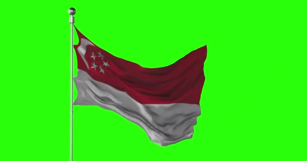 Bandeira Nacional Singapura Acenando Tela Verde Chroma Animação Chave Ilustração — Vídeo de Stock