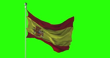 İspanya ulusal bayrağı yeşil ekranda dalgalanıyor. Krom anahtar animasyonu. İspanyol siyaset illüstrasyonu