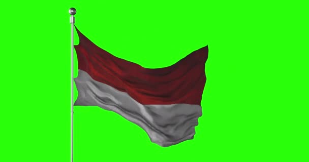 Endonezya Ulusal Bayrağı Yeşil Ekranda Dalgalanıyor Krom Anahtar Animasyonu Endonezya — Stok video