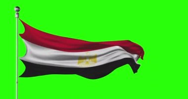 Mısır ulusal bayrağı yeşil ekranda dalgalanıyor. Krom anahtar animasyonu. Mısır siyaset illüstrasyonu