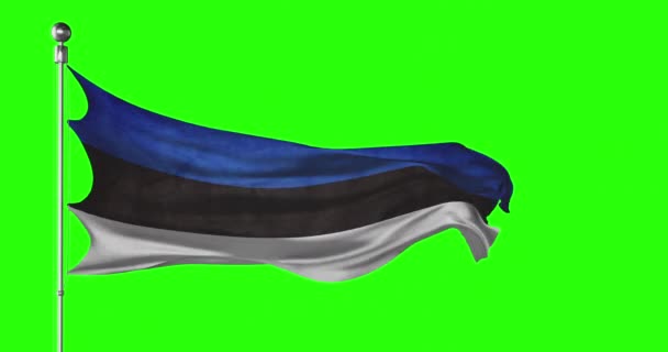 Εσθονία Εθνική Σημαία Κυματίζει Στην Πράσινη Οθόνη Κινούμενα Σχέδια Chroma — Αρχείο Βίντεο