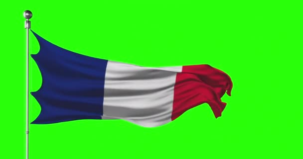 Bandera Nacional Francia Ondeando Pantalla Verde Animación Con Clave Cromática — Vídeos de Stock