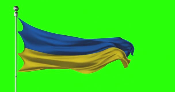 Ukraine National Flag Waving Green Screen Chroma Key Animation Ukrainian — Stock Video