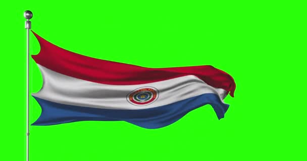 Paraguayská Národní Vlajka Vlnící Zelené Obrazovce Animace Kláves Chroma Paraguayská — Stock video
