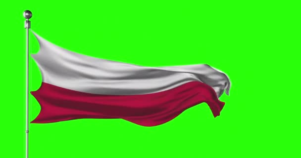 Bandera Nacional Polonia Ondeando Pantalla Verde Animación Con Clave Cromática — Vídeos de Stock