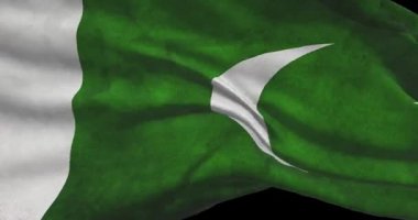 Pakistan ulusal bayrak görüntüleri. Pakistan rüzgarda bayrak sallıyor