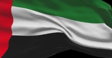 BAE ulusal bayrak görüntüsü. Birleşik Arap Emirlikleri rüzgarda bayrak sallıyor