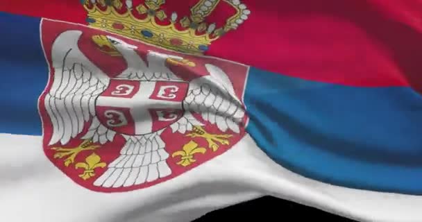 Serbia National Flag Footage Serbian Waving Country Flag Wind — Stock Video