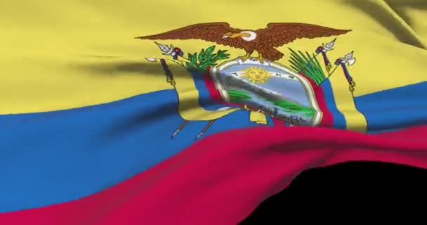 Nationale Vlag Beelden Van Ecuador Ecuadoraanse Vlag Wapperend Wind — Stockvideo