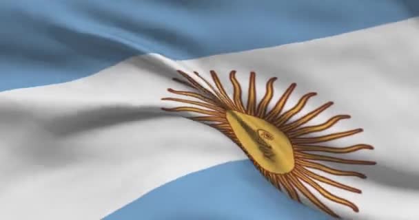 Arjantin Ulusal Bayrak Görüntüleri Arjantin Bayrağı Rüzgarda Sallıyor — Stok video