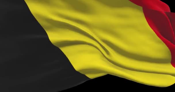 Съемка Флага Бельгии Бельгия Размахивает Флагом Страны Ветру — стоковое видео