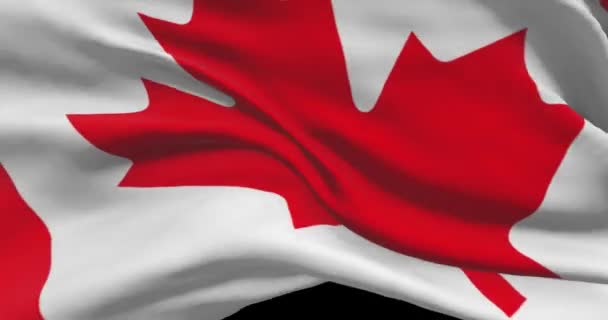 Kanada Ulusal Bayrak Görüntüleri Kanada Nın Bayrağı Rüzgarda Dalgalanıyor — Stok video