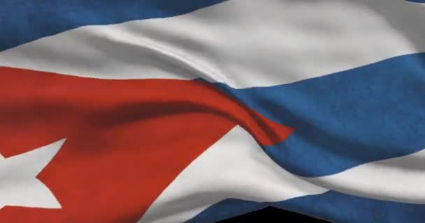 古巴国旗镜头 在风中飘扬的古巴国旗 — 图库视频影像