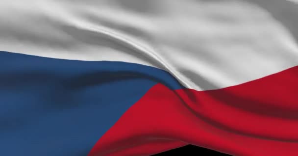 Filmato Della Bandiera Nazionale Ceca Repubblica Ceca Sventola Bandiera Paese — Video Stock