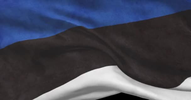 Észtország Nemzeti Zászló Felvételek Észt Integető Ország Zászló Szélben — Stock videók