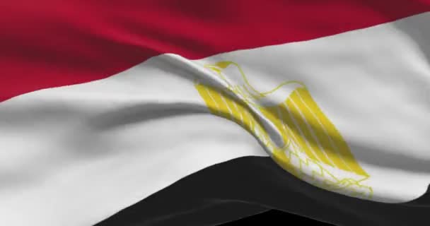 Imagens Bandeira Nacional Egipto Egípcio Acenando Bandeira País Vento — Vídeo de Stock