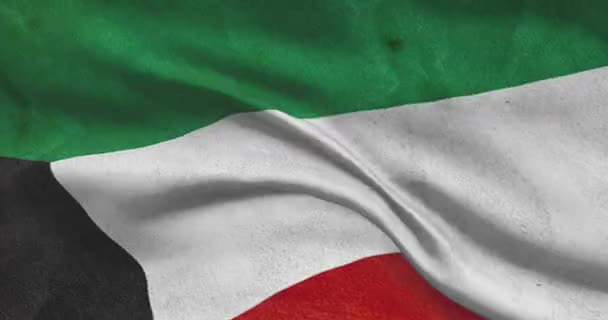 Kuvait Nemzeti Zászló Felvételek Kuvaiti Lengő Ország Zászló Szél — Stock videók