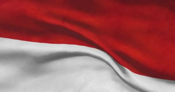 Aufnahmen Der Nationalflagge Indonesiens Indonesier Schwenken Landesflagge Wind — Stockvideo