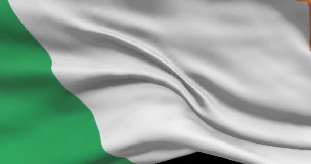 アイルランド国旗の映像 風に揺れるアイルランド国旗 — ストック動画