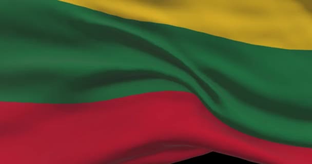 Lituania Imágenes Bandera Nacional Bandera Lituana Ondeando Viento — Vídeos de Stock