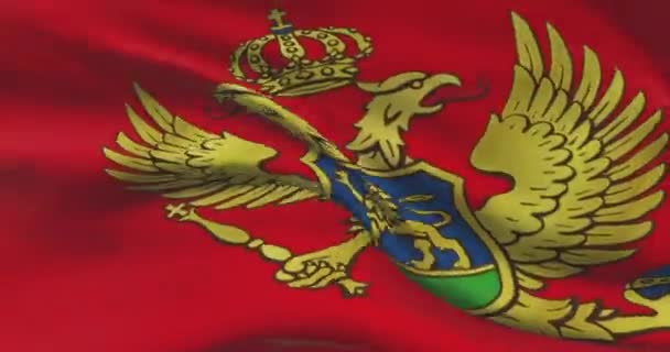 Montenegros Nationalflagge Montenegriner Schwenkt Landesfahne Wind — Stockvideo