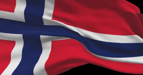 Norwegens Nationalflagge Norweger Schwenken Bei Wind Landesflagge — Stockvideo