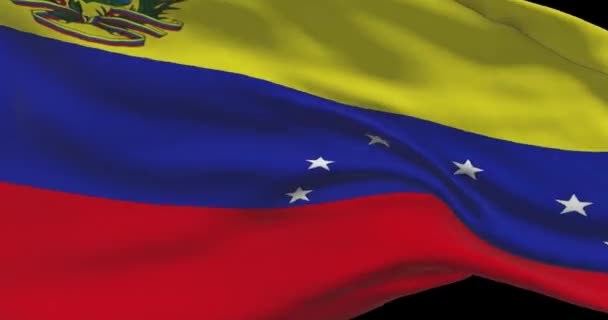 Venezuela Nationale Vlag Beelden Venezolaanse Vlag Zwaaiend Land Wind — Stockvideo