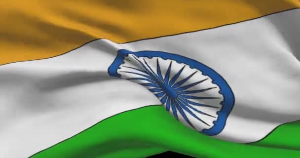 インド国旗の映像 風に国旗を振るインド人 — ストック動画