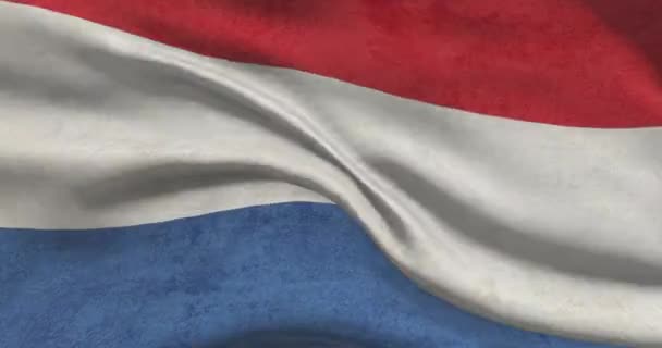 Nationale Vlag Beelden Nederlandse Vlag Wapperend Wind — Stockvideo