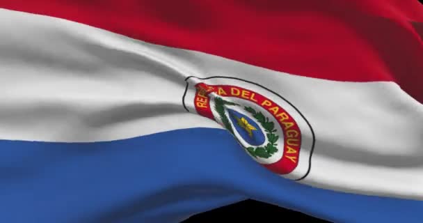 Paraguays Flaggfilm Paraguayas Viftande Land Flagga Vinden — Stockvideo