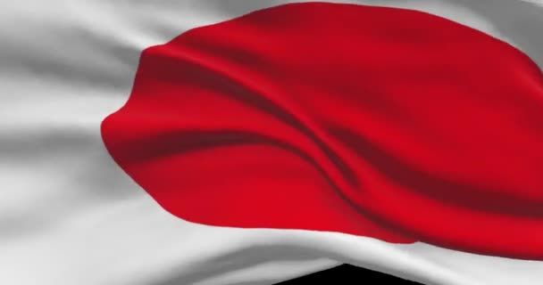 Imágenes Bandera Nacional Japón Bandera Del País Ondeando Japonés Viento — Vídeo de stock