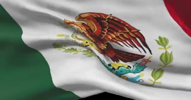 Mexico Nationale Vlag Beelden Mexicaanse Zwaaiende Land Vlag Wind — Stockvideo