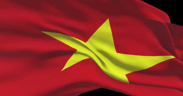 Vietnam Nationale Vlag Beelden Vietnamese Zwaaiende Landvlag Wind — Stockvideo