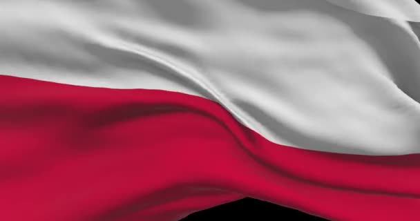 Polens Nationella Flaggfilm Polska Vinka Land Flagga Vinden — Stockvideo