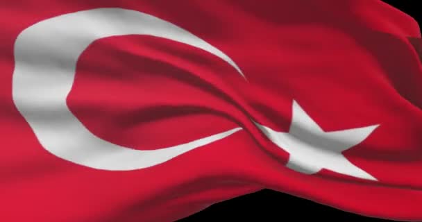 Запись Национального Флага Турции Флаг Турции Ветру — стоковое видео