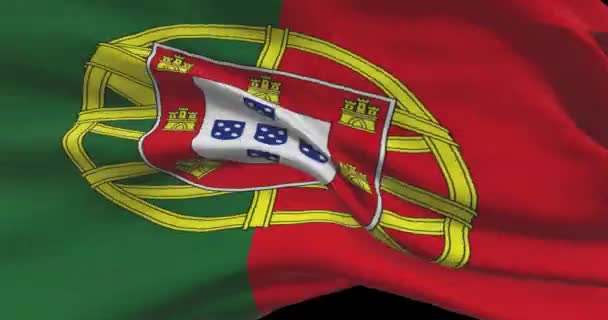 Imagens Bandeira Nacional Portugal Português Acenando Bandeira País Vento — Vídeo de Stock