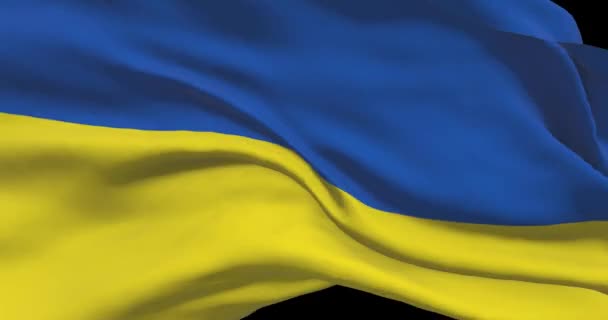 乌克兰国旗镜头 随风飘扬的乌克兰国旗 — 图库视频影像